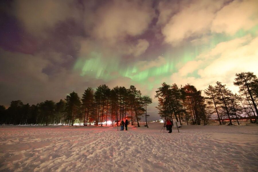 Rovaniemi: Aurora Hunting Tour with Photography by Van - The drive into the Arctic night