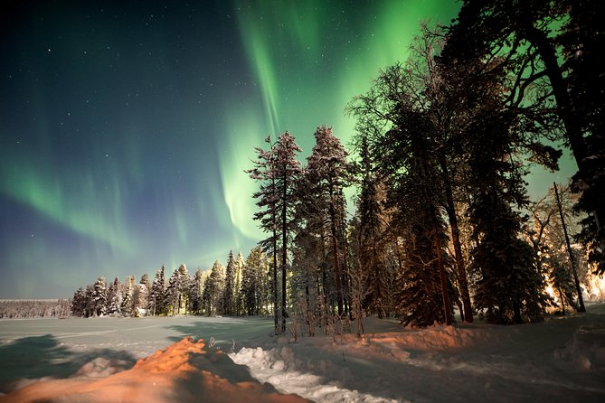 Rovaniemi AURORA PASS: 3-5 Days Unlimited Northern Lights chasing Pass - Why several nights beat one roll of the dice
