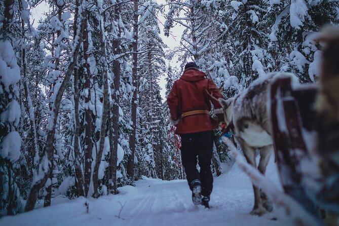 Rovaniemi: Authentic Lapland Reindeer Farm Visit & Sled Ride - Meeting the reindeer on a family-run farm