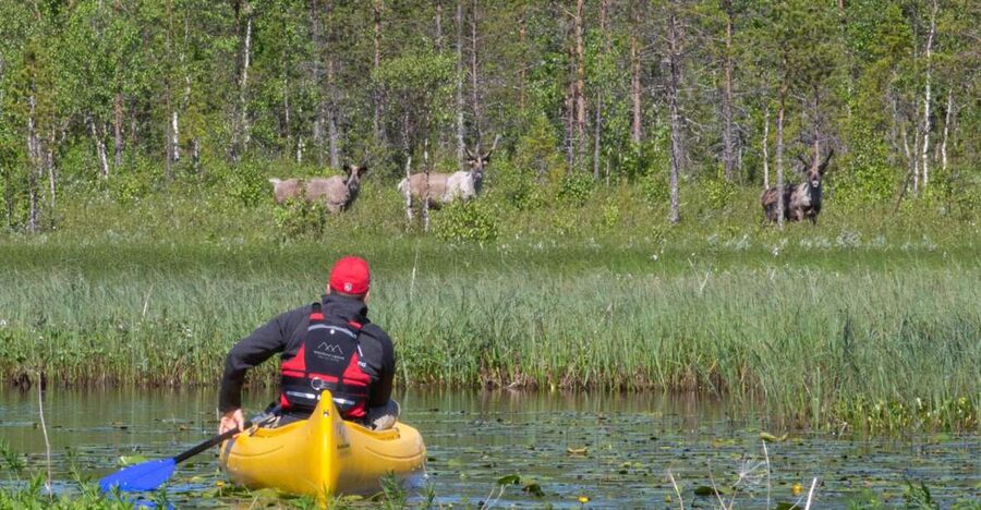 Rovaniemi: Authentic Reindeer Farm & Canoeing - The campfire adds useful context