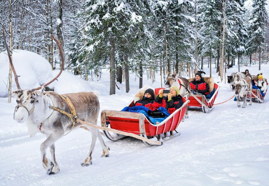 Rovaniemi: Authentic Reindeer Farm Visit & Short Sleigh Ride - Feeding reindeer at close range