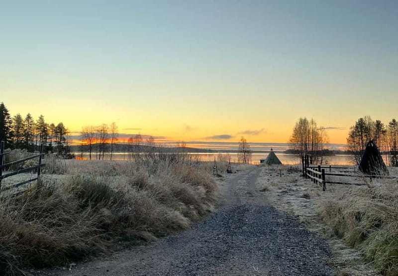 Rovaniemi: Autumn Husky Ride on Wheels - Why a wheeled husky ride makes sense in autumn