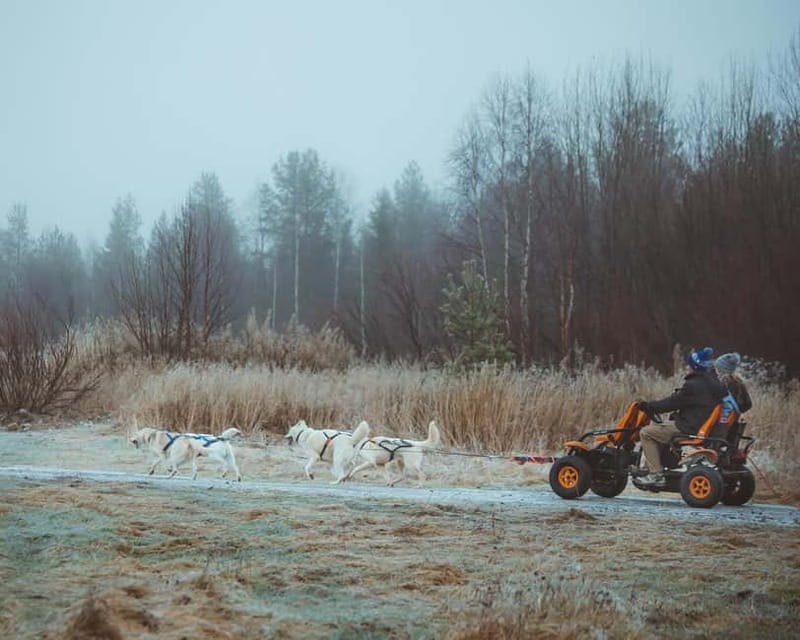 Rovaniemi: Autumn Husky Ride on Wheels - Arriving at Apukka Resort from Rovaniemi