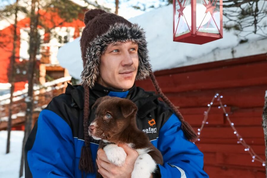 Rovaniemi: Daytime Husky Safari - Key points at a glance