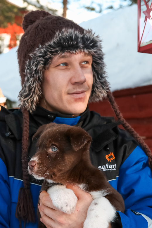 Rovaniemi: Daytime Husky Safari - The real appeal: you take the sled’s handlebars