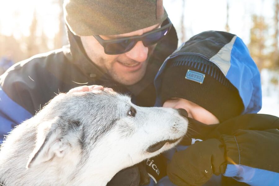 Rovaniemi: Daytime Husky Safari - Transfers and the two-hour promise