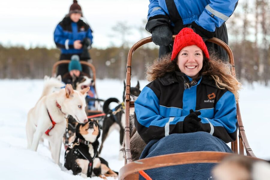 Rovaniemi: Daytime Husky Safari - Is $209 a fair price?