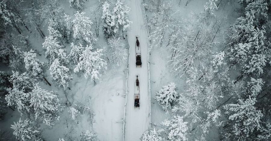 Rovaniemi: Daytime Reindeer Sleigh Ride - A Quiet Start to Lapland’s Reindeer Country