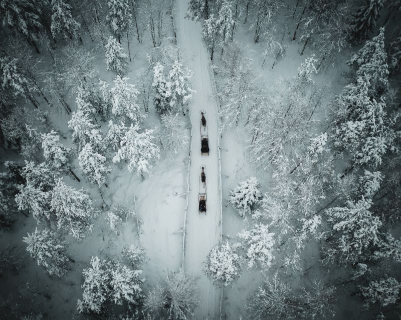 Rovaniemi: Daytime Reindeer Sleigh Ride - Why the Reindeer Herding Story Matters