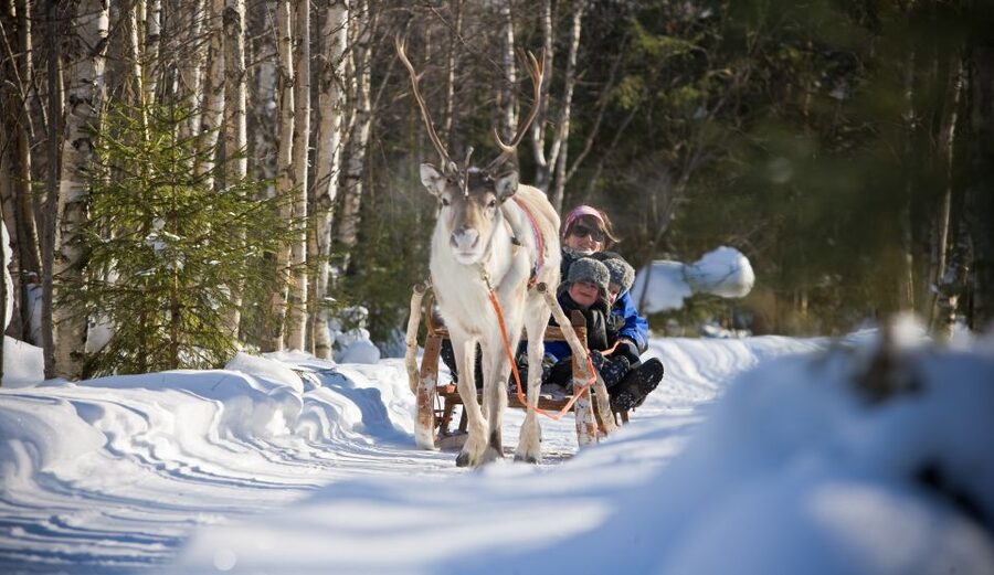 Rovaniemi: Daytime Reindeer Sleigh Ride - Warming Up in the Kota Tepee