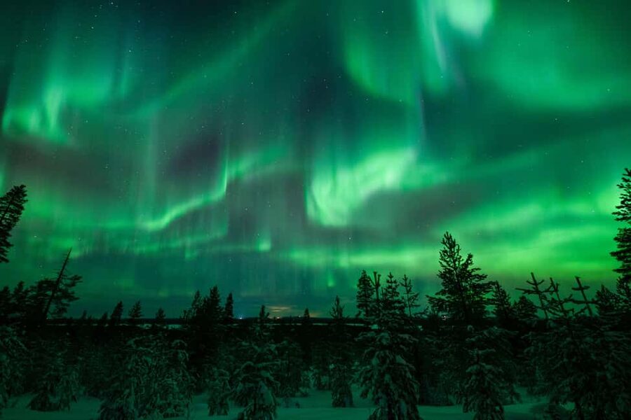 Rovaniemi: Discover the Northern Lights Photography Tour - The value of $165 per person