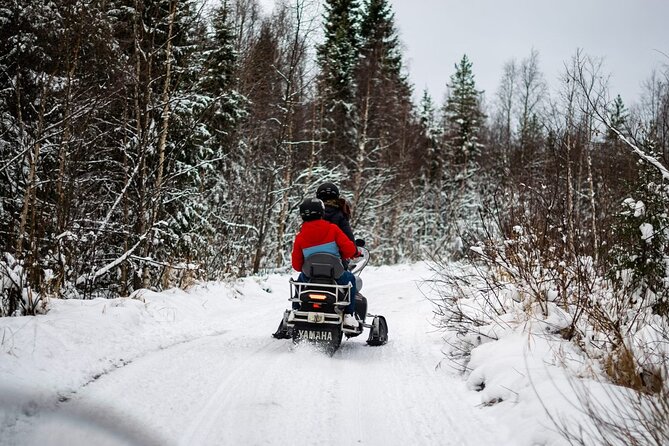 Rovaniemi: Drive New 2025 Snowmobiles on Arctic Safari & BBQ - Key points at a glance