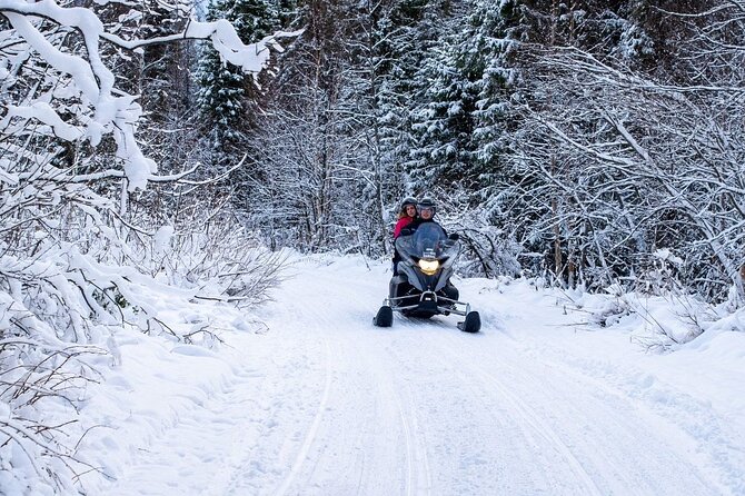 Rovaniemi: Drive New 2025 Snowmobiles on Arctic Safari & BBQ - Safety, responsibility, and weather