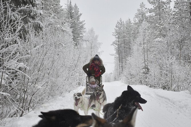 Rovaniemi: Drive Your Own Husky Team (6–10 km) & BBQ - Weather cancellations and the booking risk