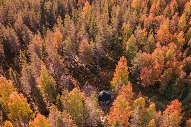 Rovaniemi: Drive Your Own Husky Team (Autumn) & BBQ - Why this autumn husky ride feels different