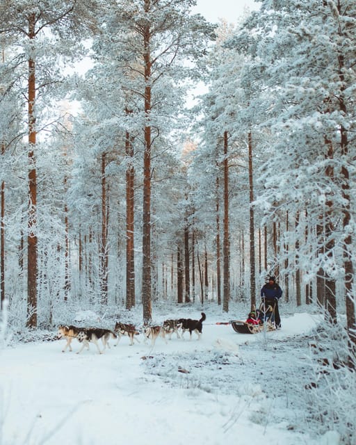 Rovaniemi: Early Winter Husky Sled Ride - Getting to Apukka From Rovaniemi