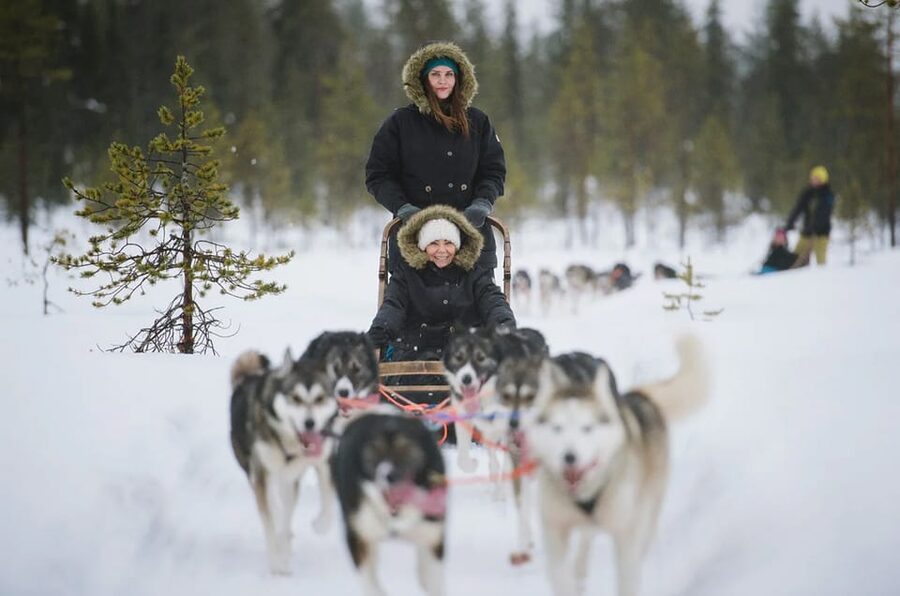 Rovaniemi: Family Friendly Husky Ride and Farm Visit - Who should book this experience?