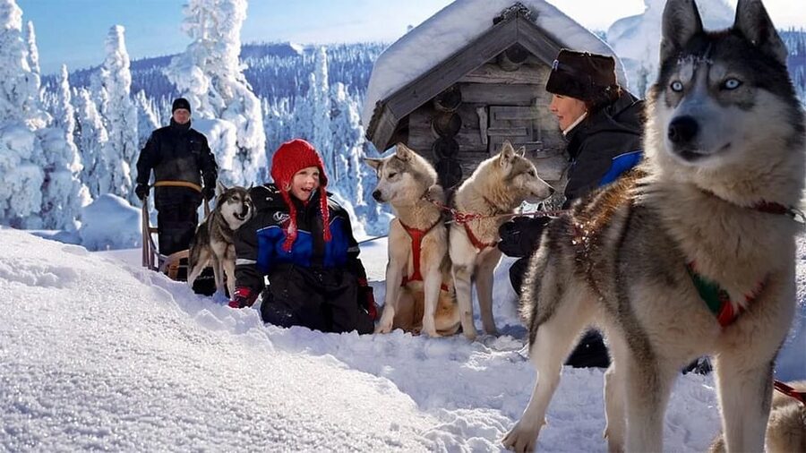 Rovaniemi: Family Friendly Husky Ride and Farm Visit - Meeting at Maakuntakatu 29 in central Rovaniemi