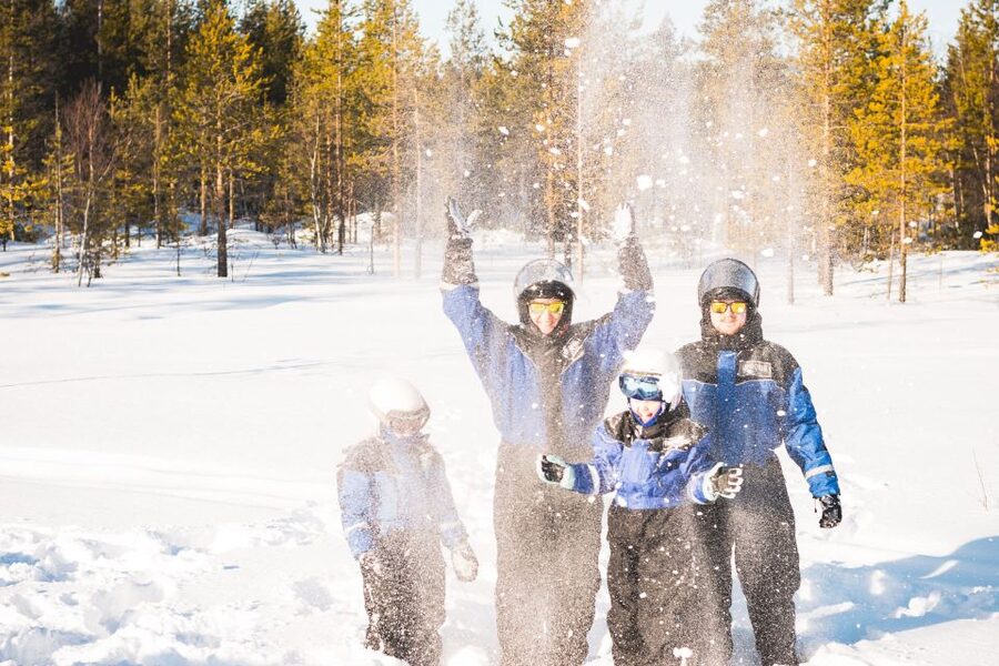 Rovaniemi: Family Snowmobile Safari with Campfire and Snacks - What the $187 price means in practice
