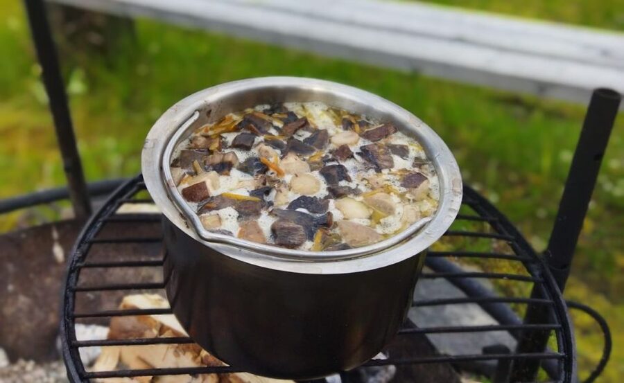 Rovaniemi forest foraging adventure: Pick, Prepare, Savor - How the forest walk works