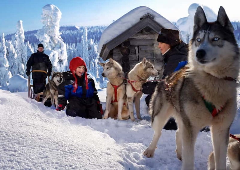 Rovaniemi: Full-Day Highlights Tour with Buffet Lunch - Santa Claus Village and the Arctic Circle
