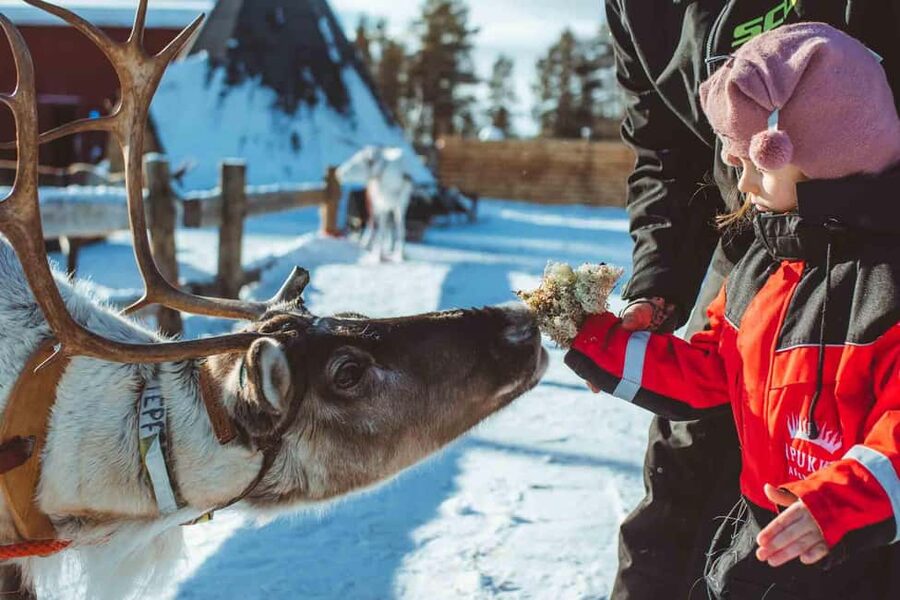 Rovaniemi: Full-Day Snow and Fun Activities - Key points at a glance