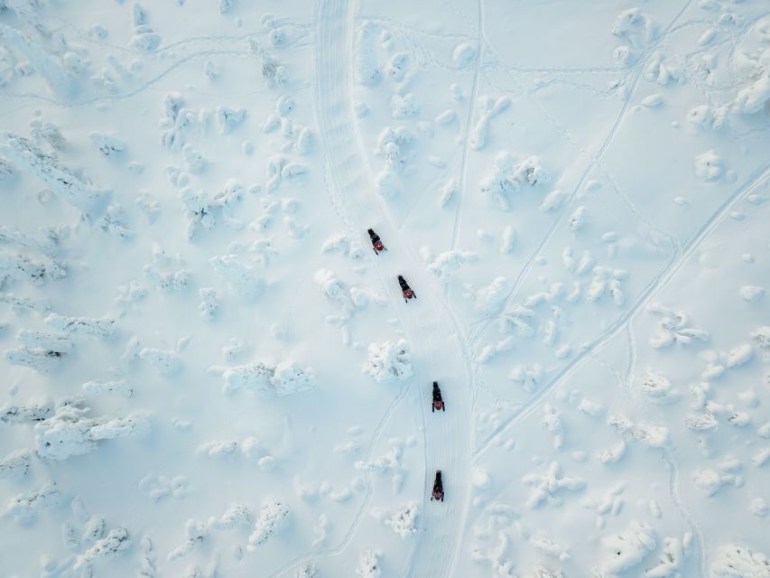 Rovaniemi: Full-Day Snowmobile Safari into the Wilderness - What four to five hours on the machine feels like