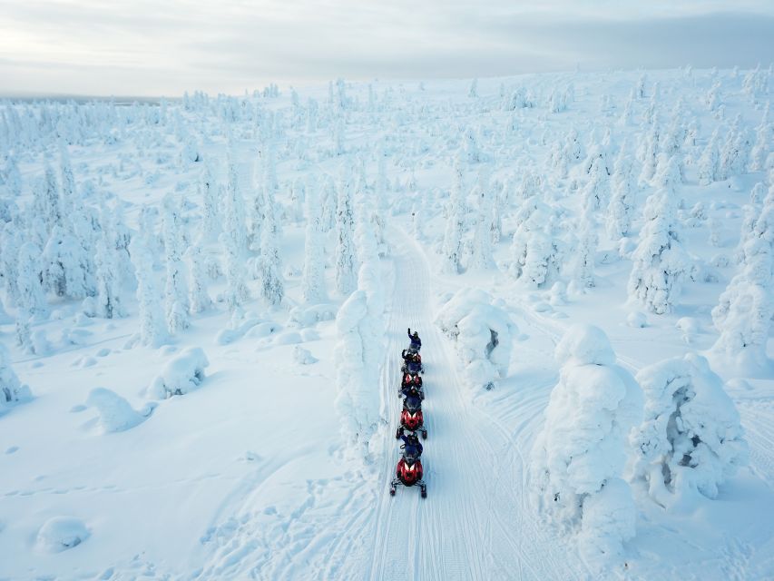 Rovaniemi: Full-Day Snowmobile Safari into the Wilderness - Forest tracks, frozen lakes, and powder snow