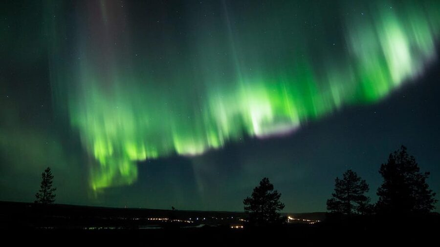 Rovaniemi: Guaranteed Aurora Hunting Tour with Local Guide - Comfort inside the blue van