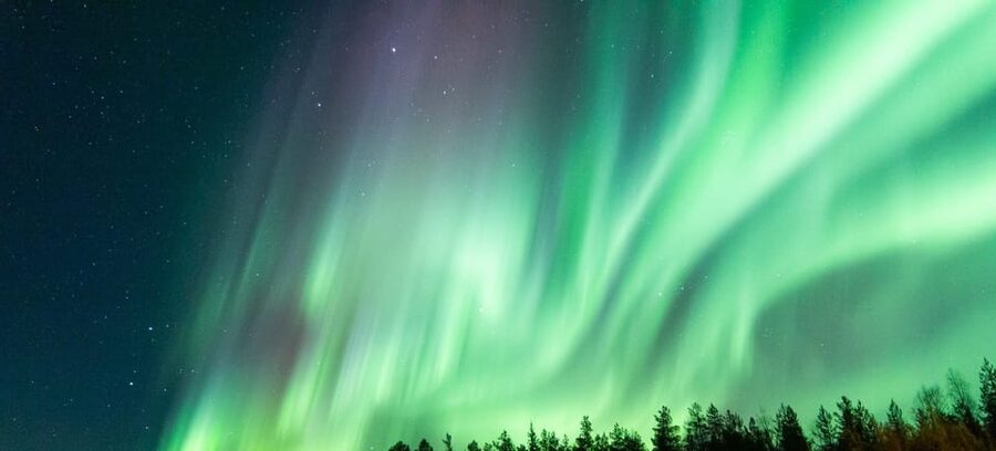 Rovaniemi: Guaranteed Aurora Hunting Tour with Local Guide - Who should book this Aurora hunt?