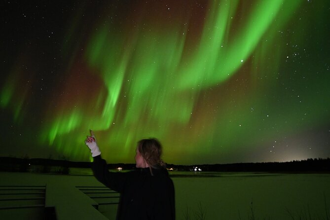 Rovaniemi: Guaranteed Northern Lights - Small Group & Photography - Guides who keep the night moving