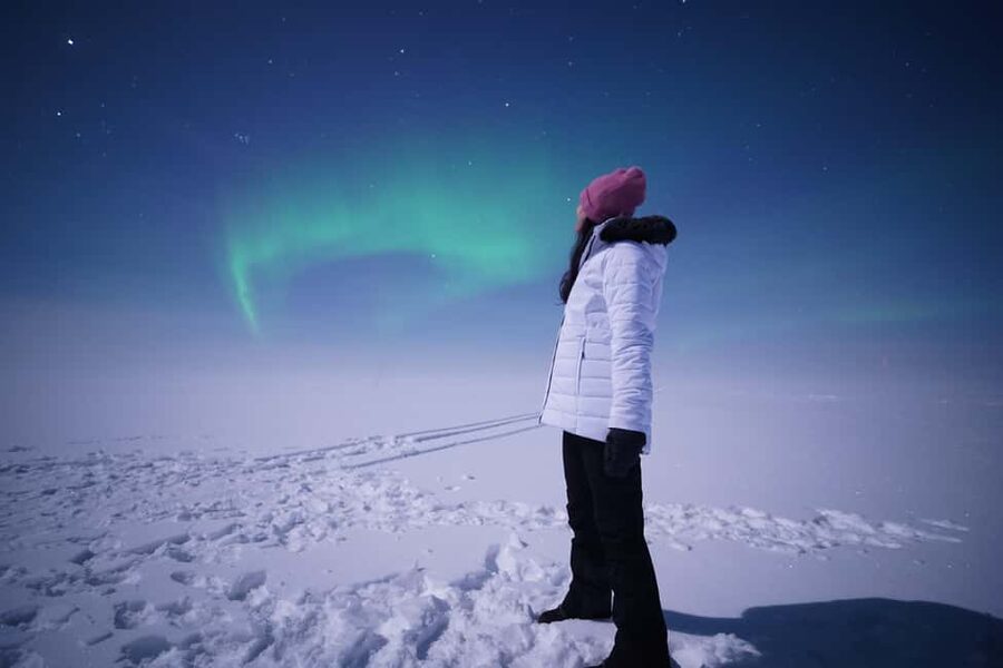 Rovaniemi: Guaranteed Northern Lights Tour with Photos - Campfire food, hot drinks, and waiting in the cold