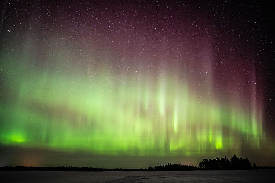 Rovaniemi: Guaranteed Ultimate Aurora Hunt with Photographer - Group size, comfort, and the real cost of $127