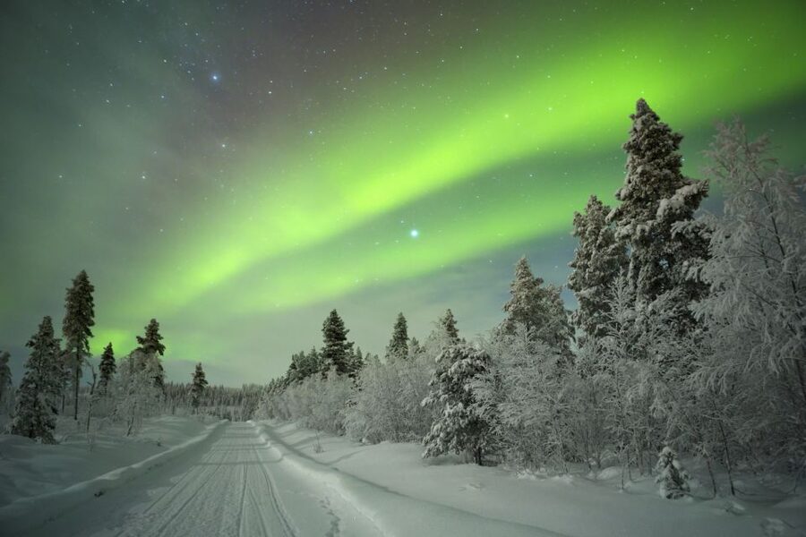 Rovaniemi: Guided Northern Lights Tour - Key points to know before booking