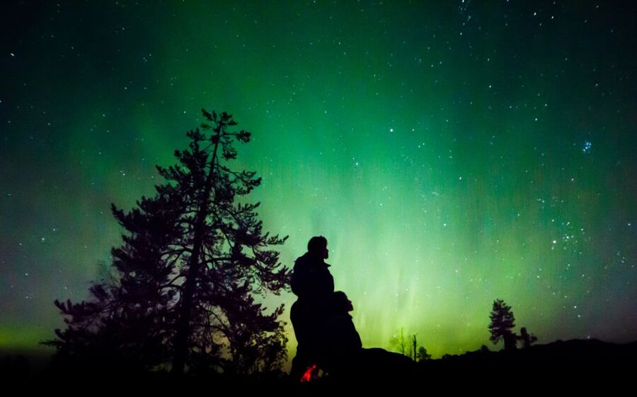 Rovaniemi: Guided Northern Lights Tour - Frozen lakes, rivers, forests, and fire shelters