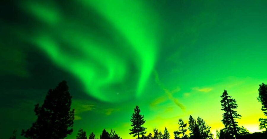 Rovaniemi: Guided Northern Lights Tour - The guide makes the difference