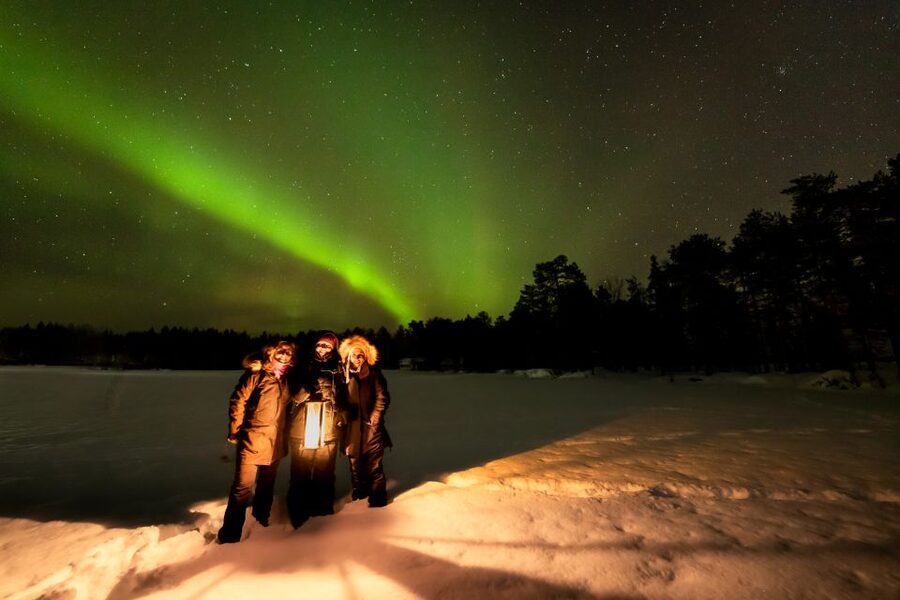 Rovaniemi: Guided Northern Lights Tour - Is $84 a fair price?