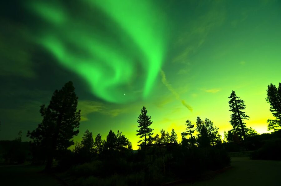 Rovaniemi: Guided Northern Lights Tour - Booking details that can save you trouble