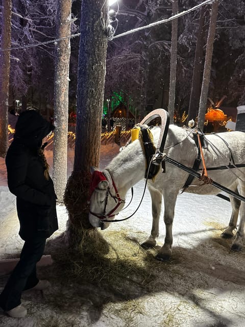 Rovaniemi: Guided Tour of Santa Claus Village - Getting your bearings at Santa Claus Village