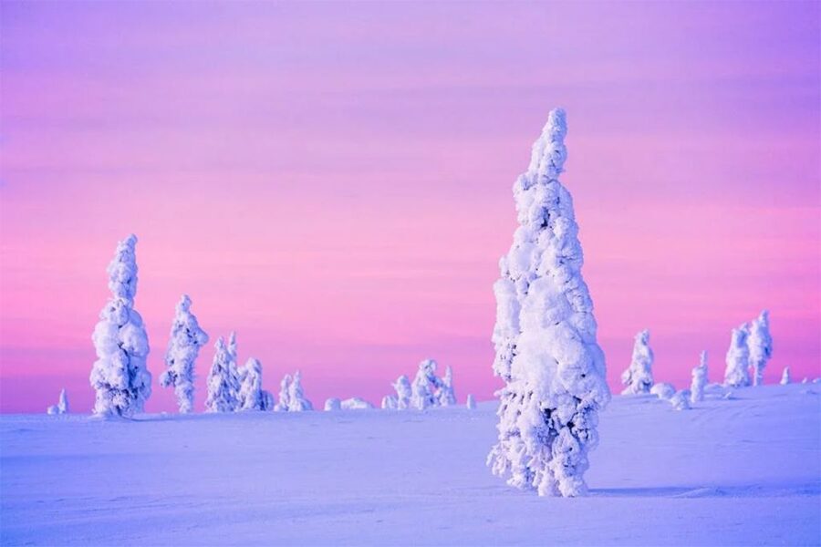 Rovaniemi: Half-Day Snowmobile & Ice Fishing Experience - Guides, Pickup, and the Shape of the Day