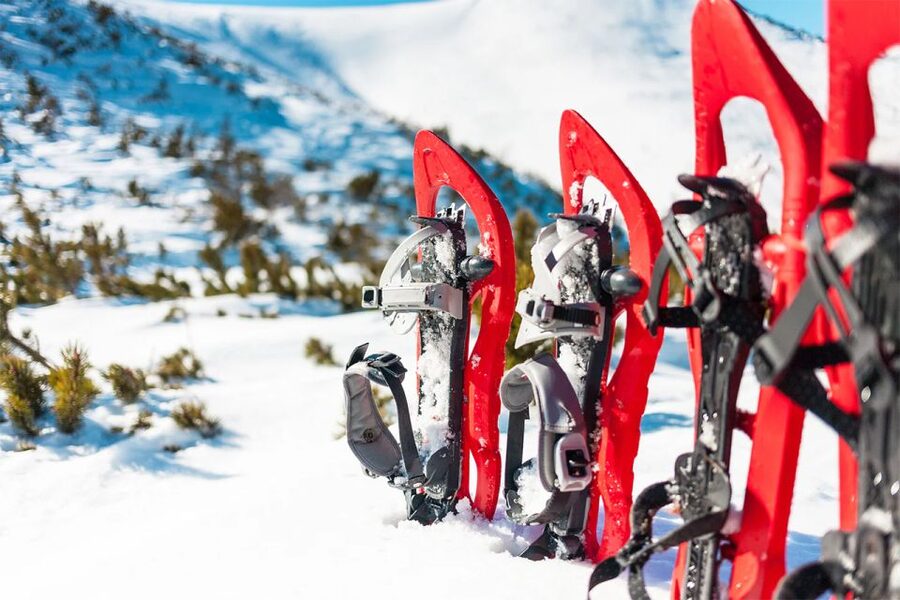 Rovaniemi: Hiking and Snowshoeing Adventure in Lapland - From Rovaniemi to the Arctic forest