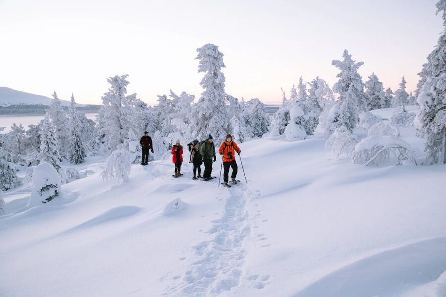 Rovaniemi: Hiking and Snowshoeing Adventure in Lapland - Crossing the frozen lake