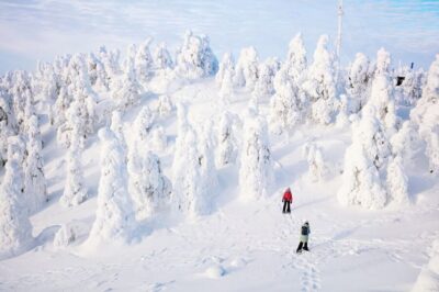 Hiking and Snowshoeing Adventure in Lapland