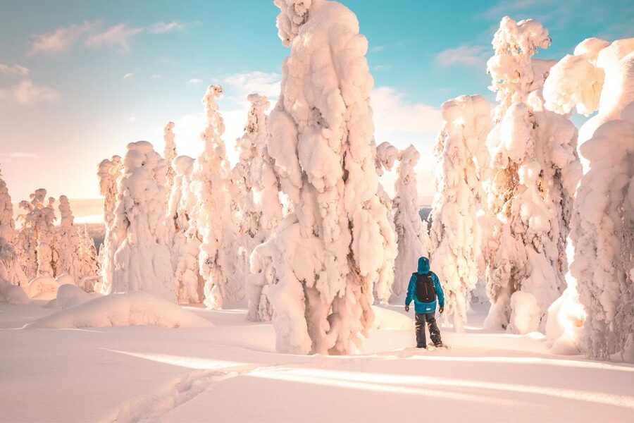 Rovaniemi: Hiking and Snowshoeing Adventure in Lapland - The uphill lookout and Arctic views