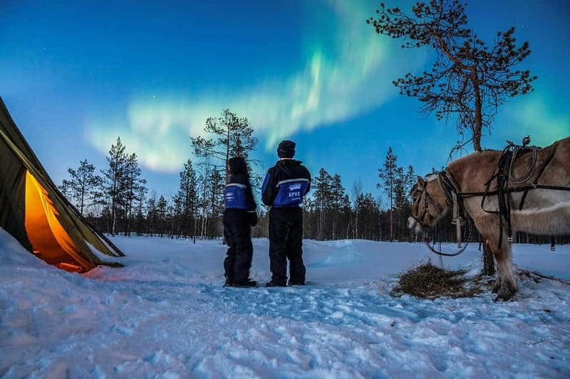 Rovaniemi: Horse Sleigh Ride under the Night Sky - Key points at a glance
