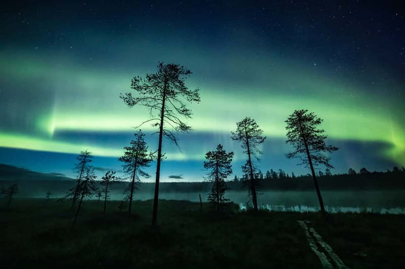 Rovaniemi: Horse Sleigh Ride under the Night Sky - Why a horse sleigh works so well in Arctic darkness