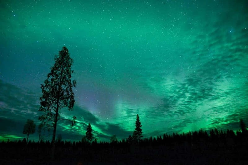 Rovaniemi: Horse Sleigh Ride under the Night Sky - Getting ready for the 3 km horse ride