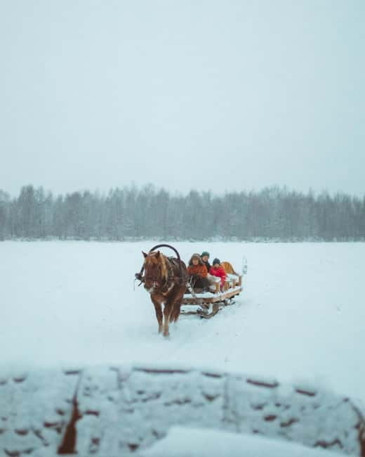 Rovaniemi: Horse Sleigh Ride under the Night Sky - The bonfire, hot drink, and grilled sausage