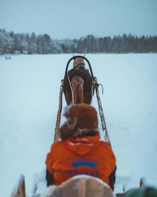 Rovaniemi: Horse Sleigh Ride under the Night Sky - Should you book the Apukka horse sleigh ride?