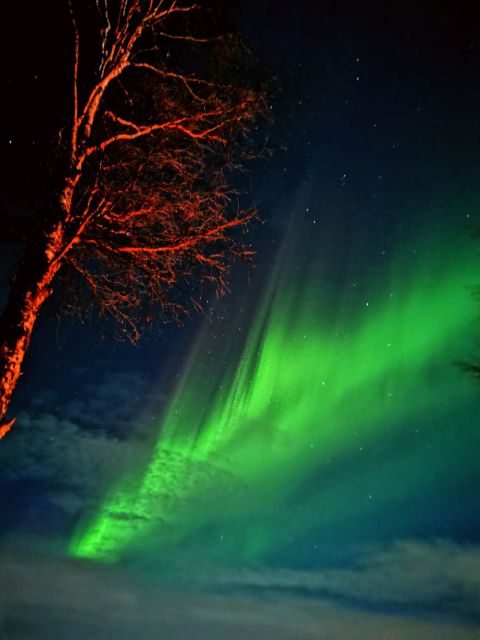 Rovaniemi Hunting Aurora at the Best Spots - Key points to know before you book
